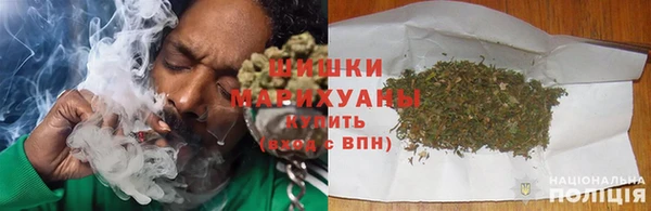 прущие грибы Осинники