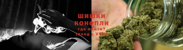 прущие грибы Осинники