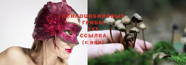 МДПВ Нязепетровск