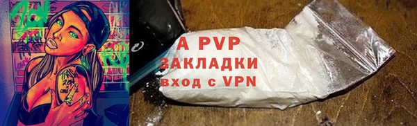 прущие грибы Осинники