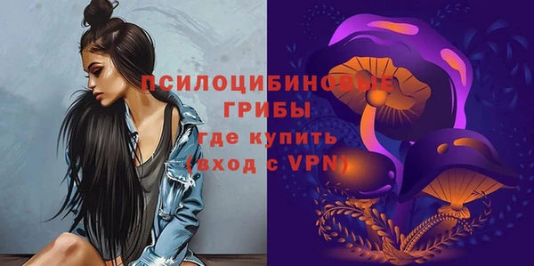 прущие грибы Осинники