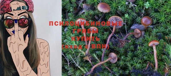 герыч Няндома