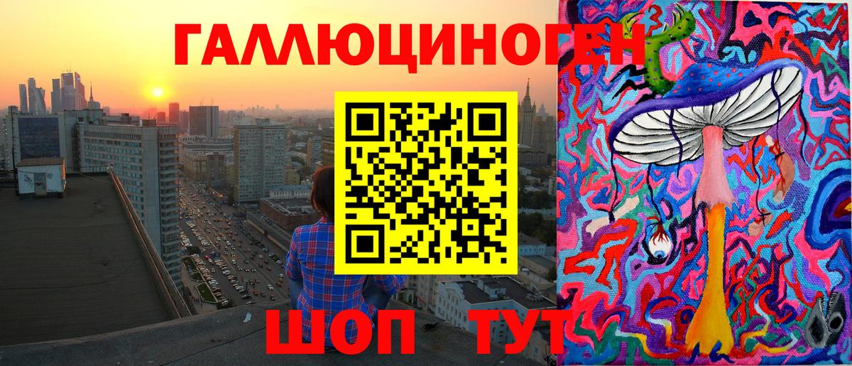Галлюциногенные грибы Psilocybine cubensis Татарск