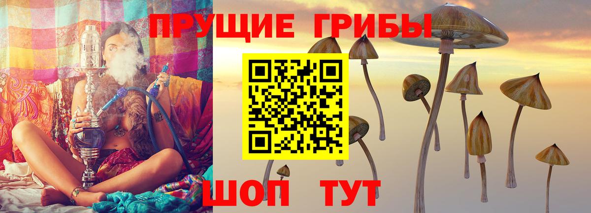 Псилоцибиновые грибы прущие грибы  Вход с VPN  Псилоцибиновые грибы мицелий  Татарск 